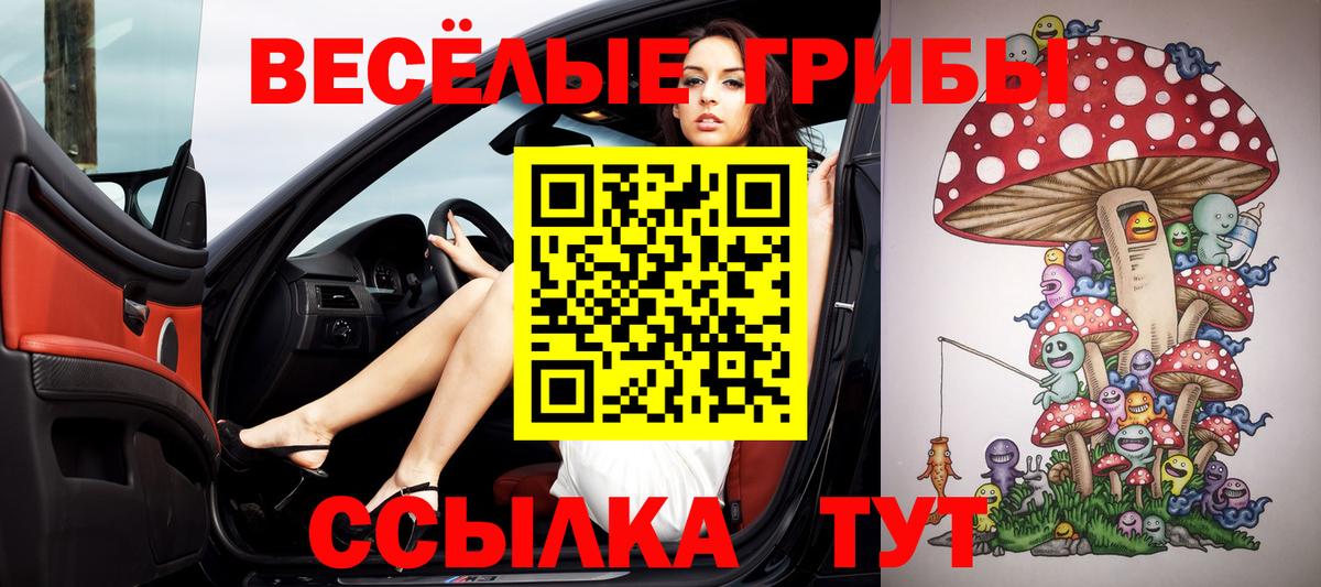что такое   Галлюциногенные грибы прущие грибы  Вход с VPN  Екатеринбург 
