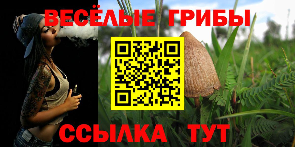 Псилоцибиновые грибы Psilocybe Екатеринбург